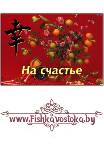 magnit-na-schaste-7x10-sm-vinil-a-469